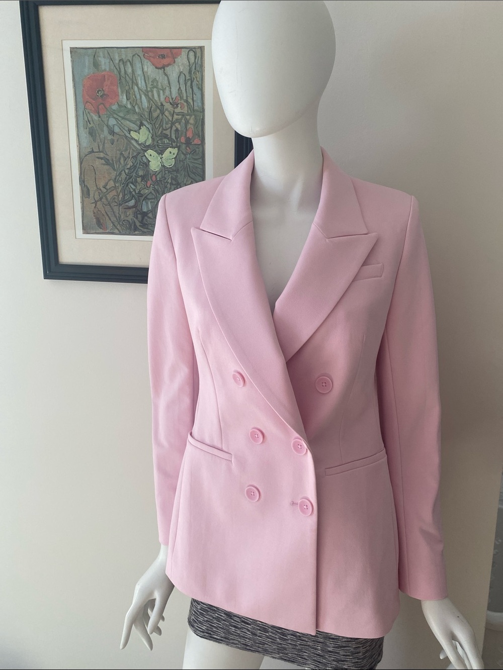 Express Pink Double-Breasted Blazer